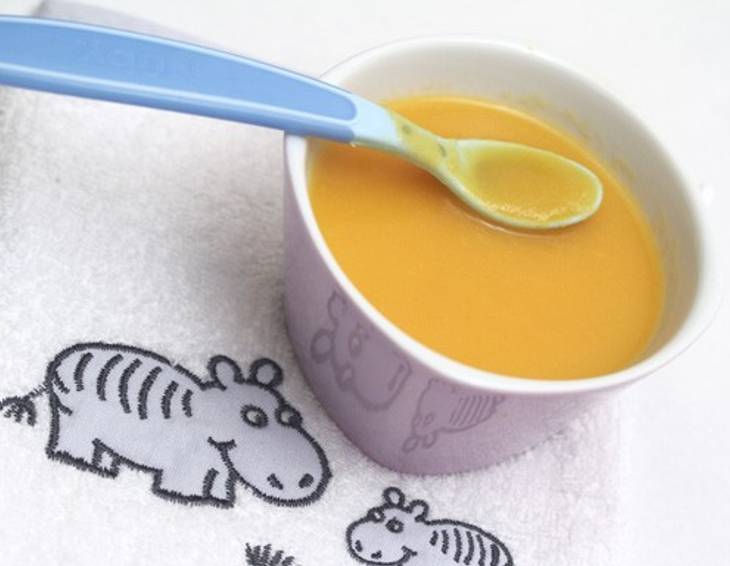 Babynahrung: Kürbiscremesuppe Babynahrung: Kürbiscremesuppe