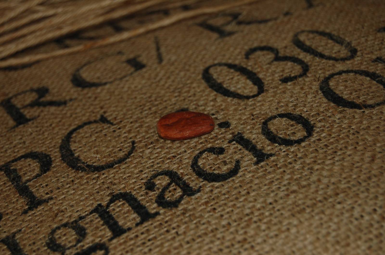 Kakaobohnen-Säcke