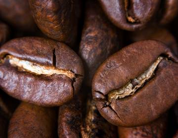 Inhaltsstoffe der Bohne