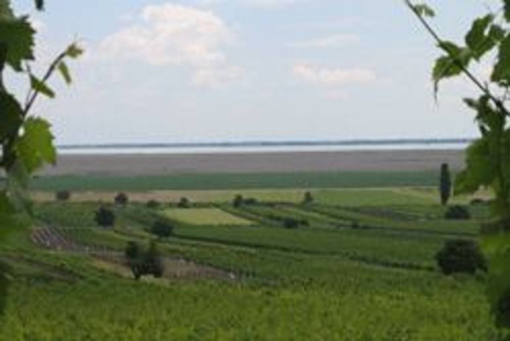 Burgenländische Landschaft Burgenländische Landschaft