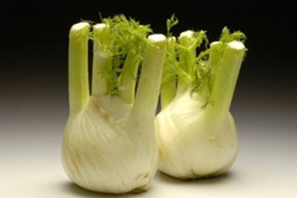 Fenchel ichkoche.at