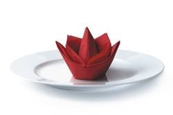 Seerose