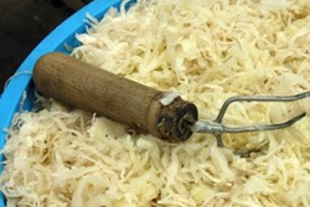 Sauerkraut selber machen Sauerkraut selber machen