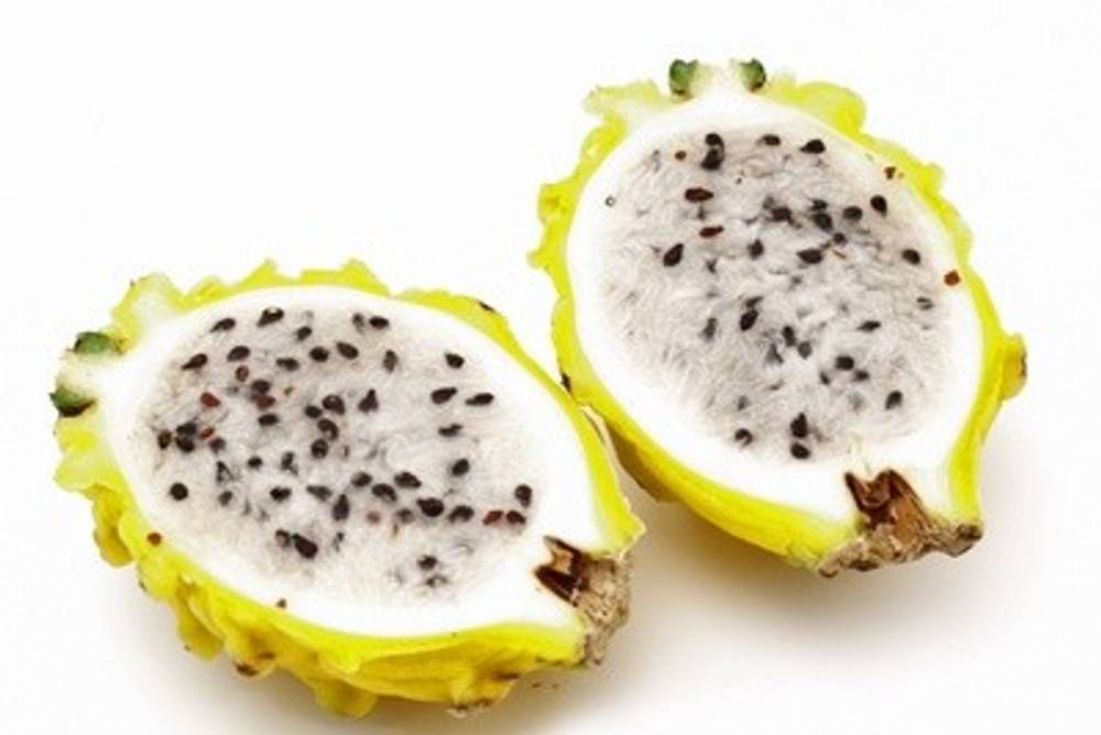 Pitahaya