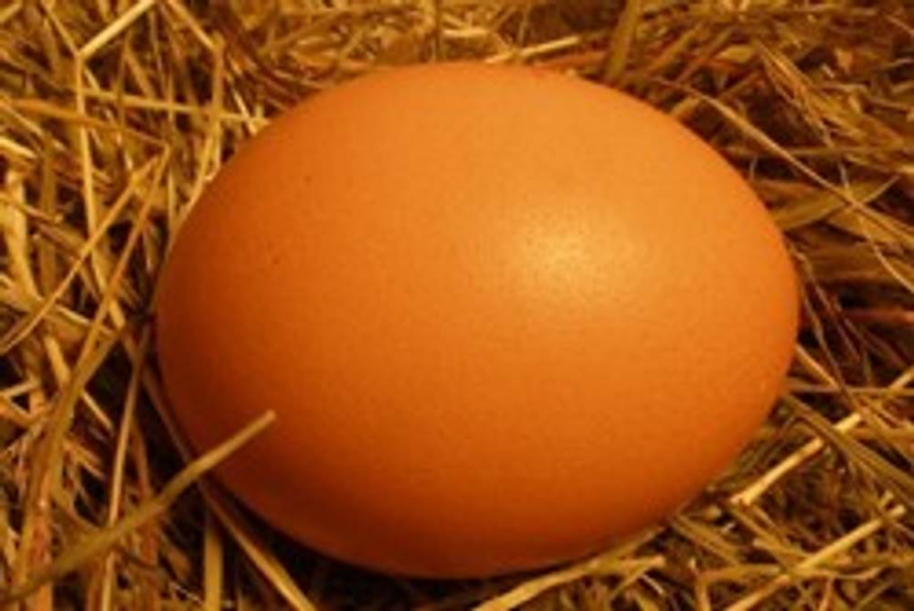 Ein Ei im Stroh