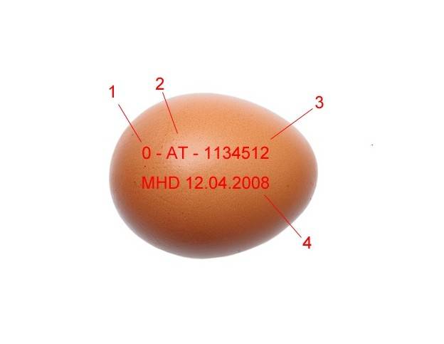 Was verrät die Kennzeichnung des Eies?