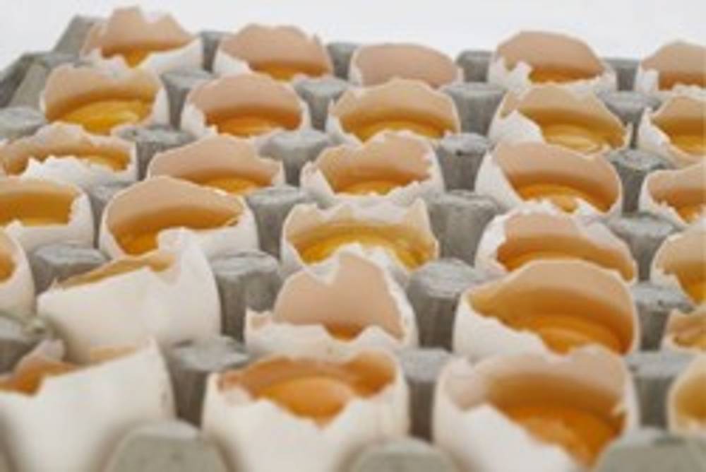 Wie bewahrt man Eier auf? Wie bewahrt man Eier auf?