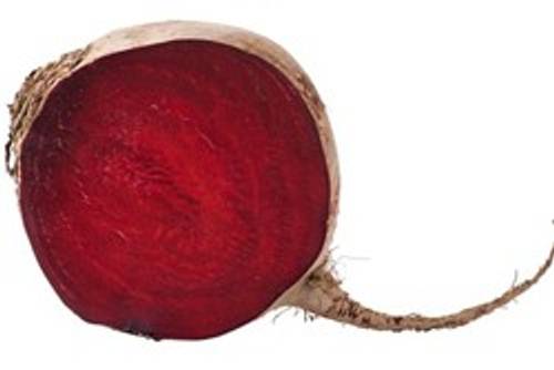 Bild Ruebe Rote Rübe - ichkoche.at