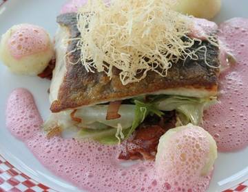 Kümmelstör auf gebratenem Spitzkraut mit Erdäpfel-Topfenknödel an Roter Rübensauce Kümmelstör auf gebratenem Spitzkraut mit Erdäpfel-Topfenknödel an Roter Rübensauce