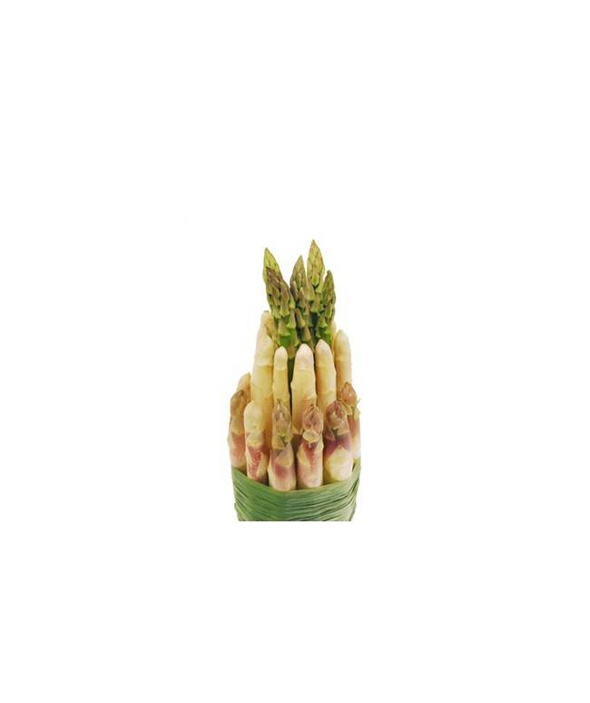 Spargel