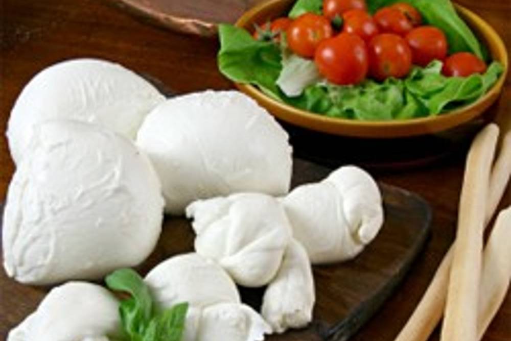 Mozzarella Mozzarella