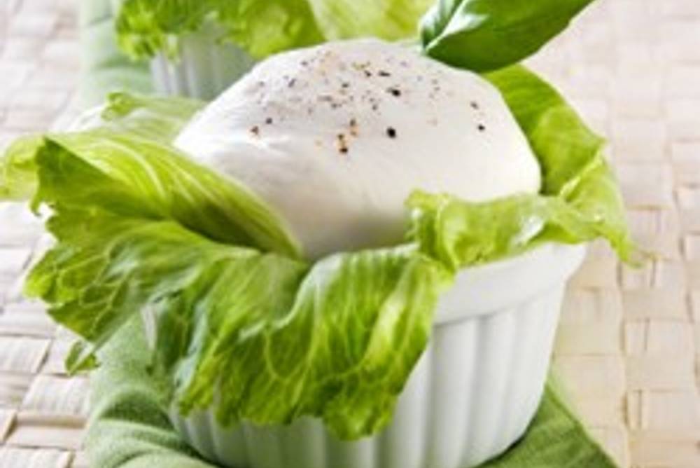 Mozzarella Mozzarella
