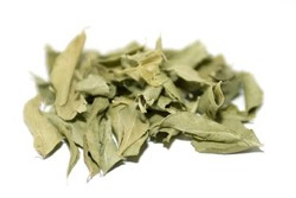 Curryblätter Curryblätter