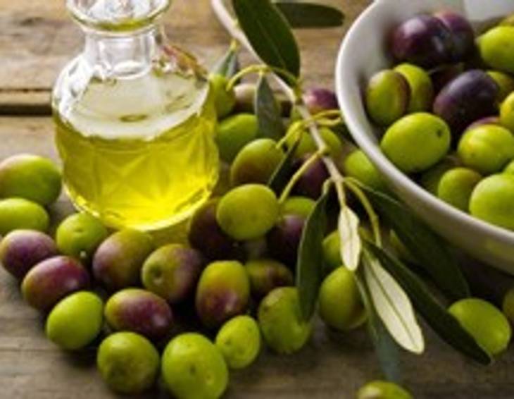 Reisetipp: Genuss- und Olivenölseminar am Gardasee