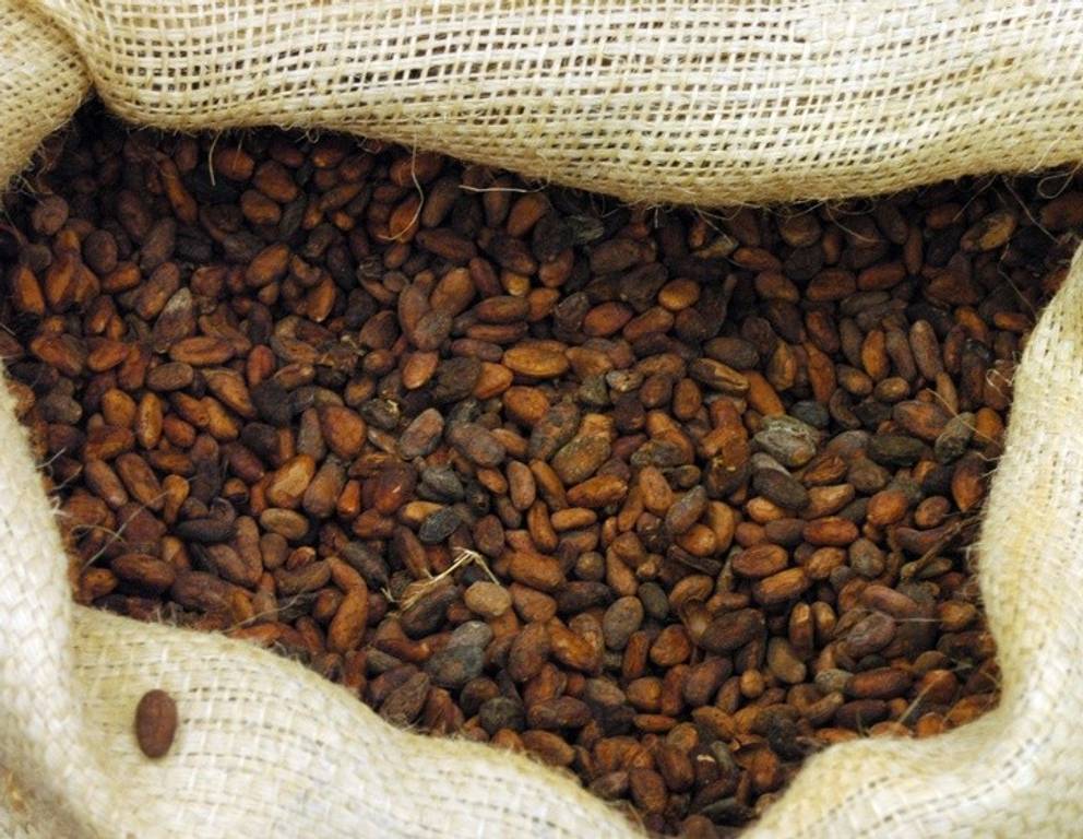 Kakao- & Schokosorten Kakao- & Schokosorten