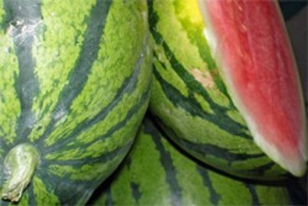 Wassermelonen Wassermelonen