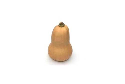 Butternuss/ -nut Butternuss/ -nut