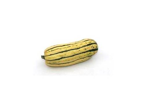 Delicata Delicata