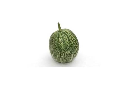 Feigenblattkürbis Feigenblattkürbis