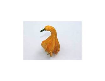 Indian Mix Indian Mix