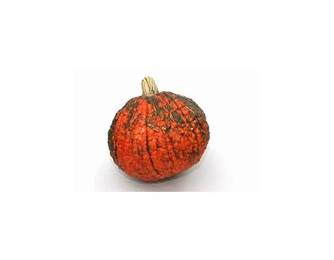 Rote Warze Rote Warze