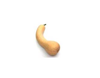 Ultra Butternut Ultra Butternut