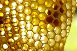 Mehr machen aus und mit Honig 