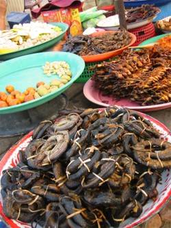 Markt mit Käfern und Würmern