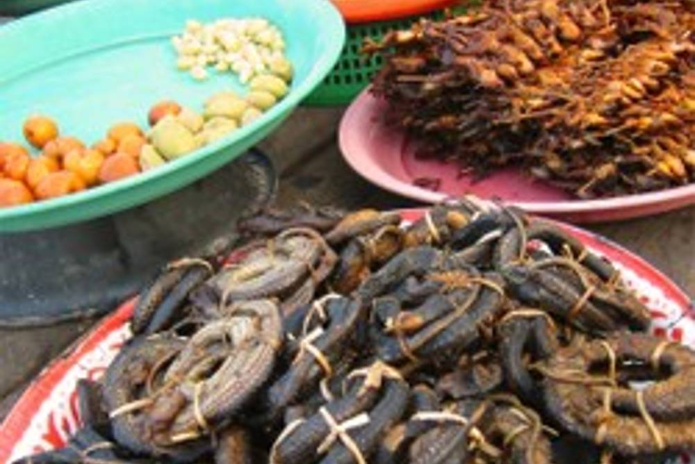 Markt mit Käfern und Würmern Markt mit Käfern und Würmern