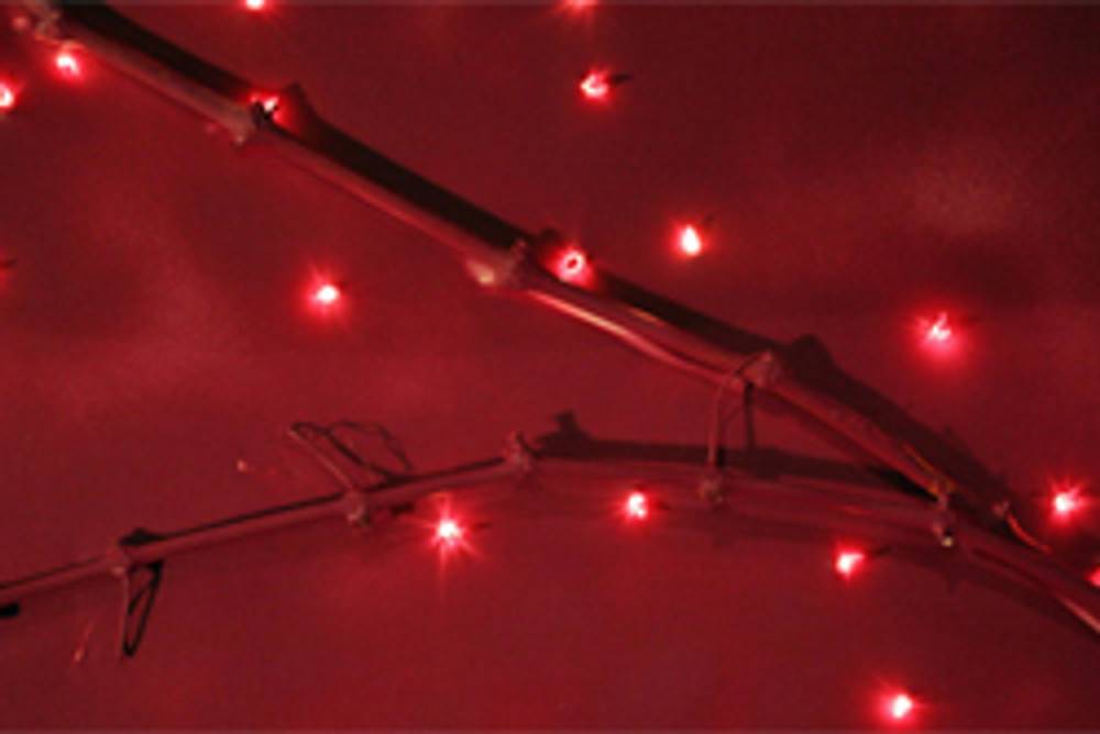 Wunderschöne Weindekoration Wunderschöne Weindekoration