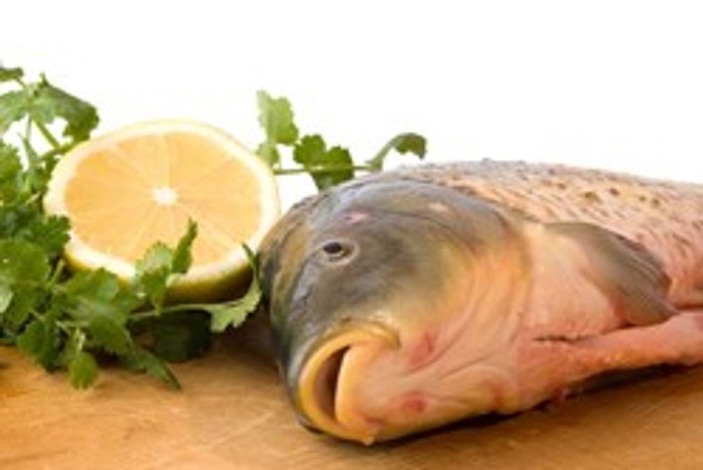 Fisch Fisch