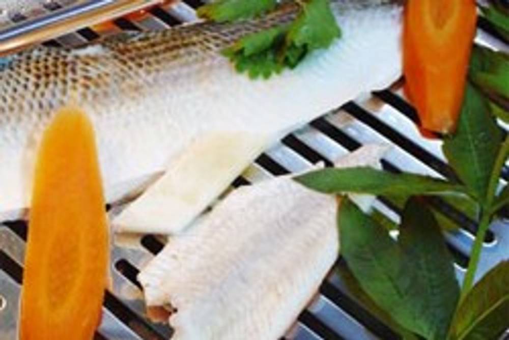 Gedämpfter Fisch Gedämpfter Fisch