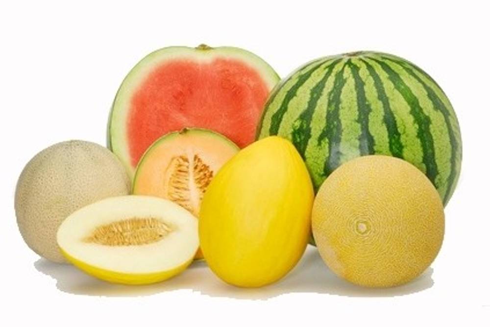 Melonen Melonen