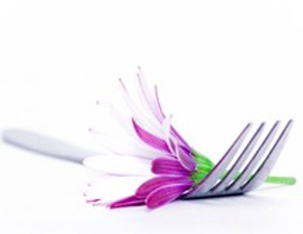 Welche Blüten kann man verkochen? Welche Blüten kann man verkochen?