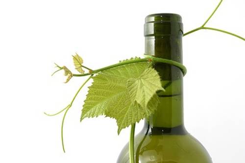 Noilly Prat Noilly Prat