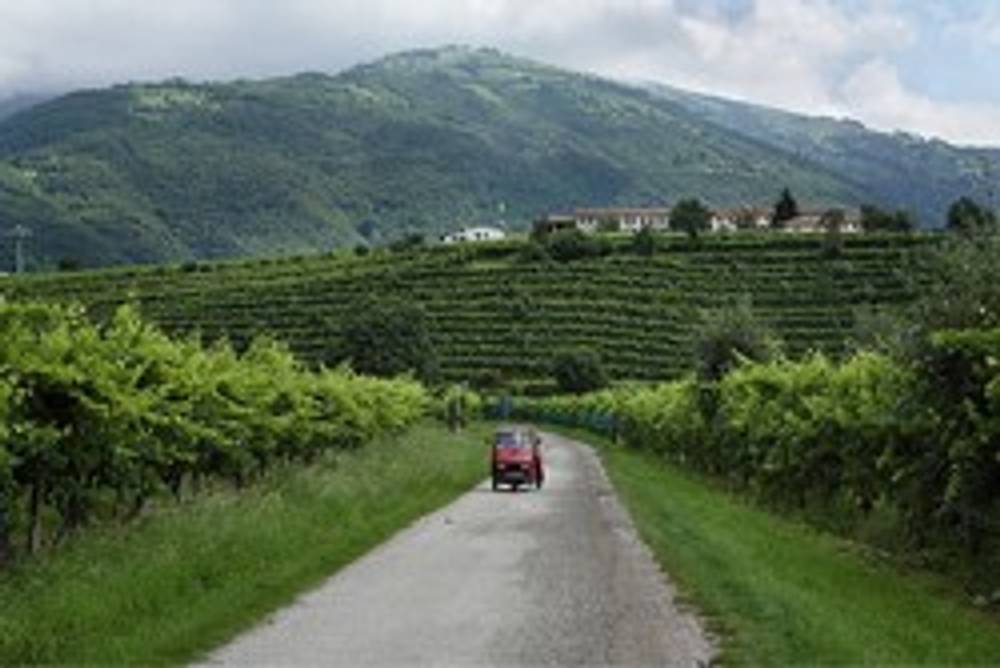 Die Prosecco Weinstraße Die Prosecco Weinstraße