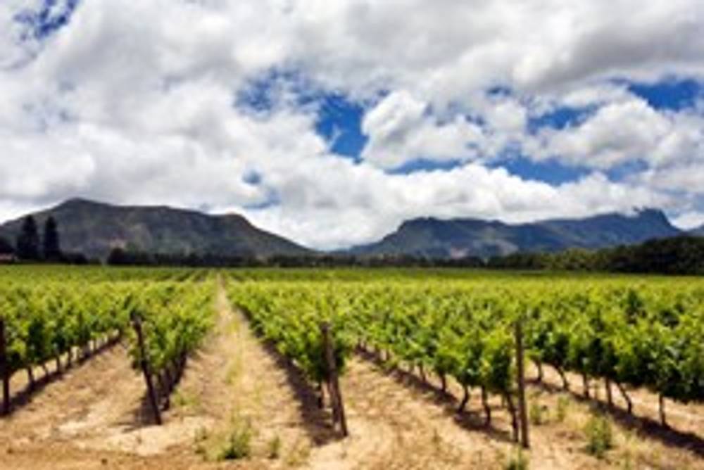 Weinregion Südafrika