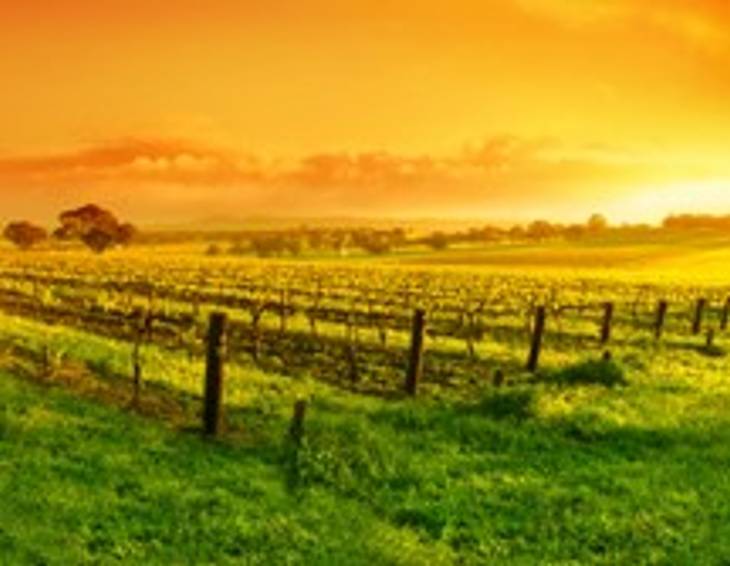 Weinregion Australien/Neuseeland