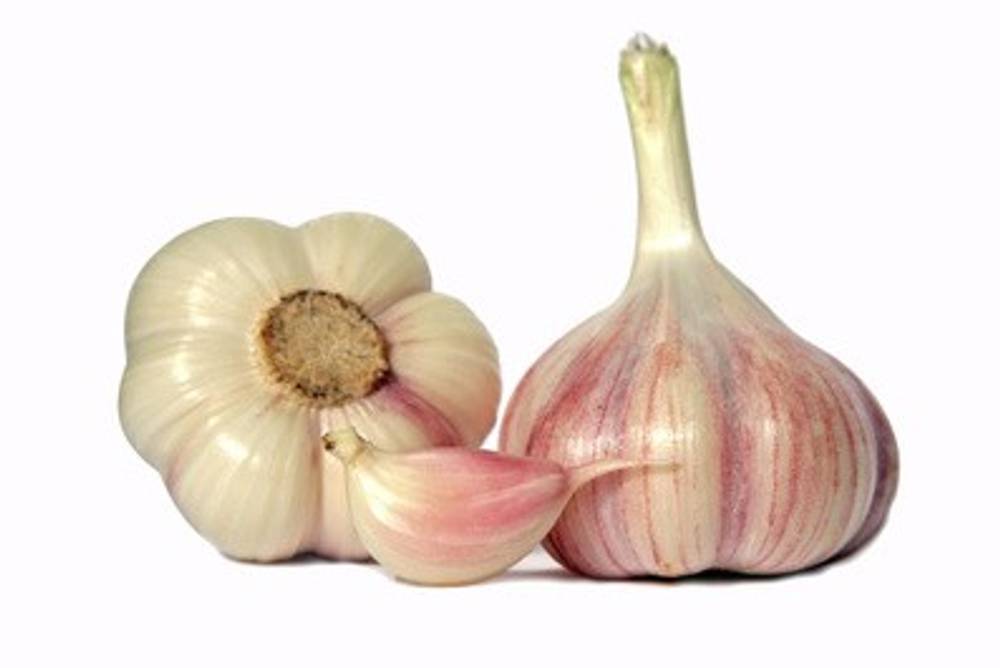 Knoblauch Knoblauch