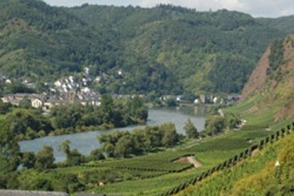 Weinregion Deutschland Weinregion Deutschland