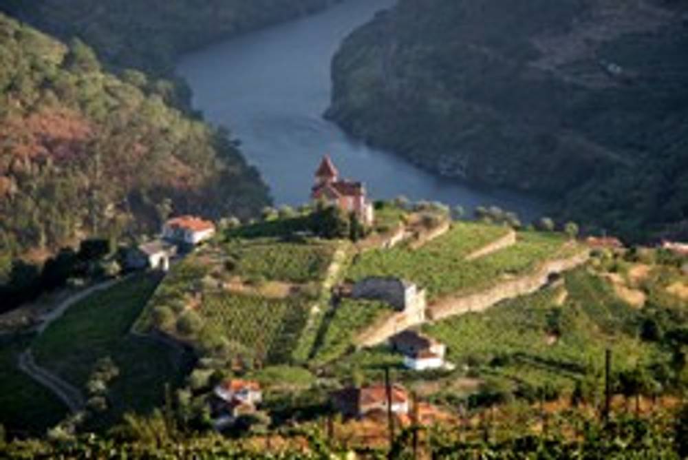 Weinregion Portugal