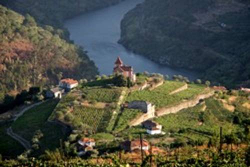 Weinregion Portugal