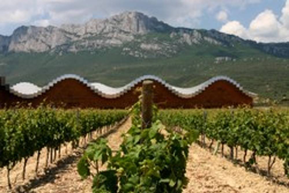 Weinregion Spanien Weinregion Spanien