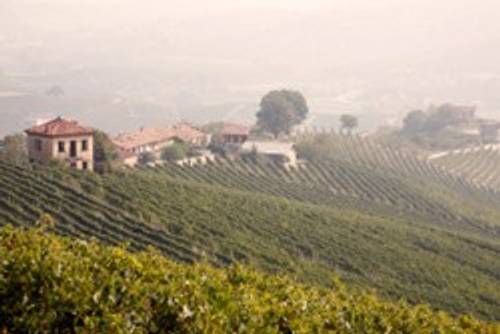 Weinregion Italien