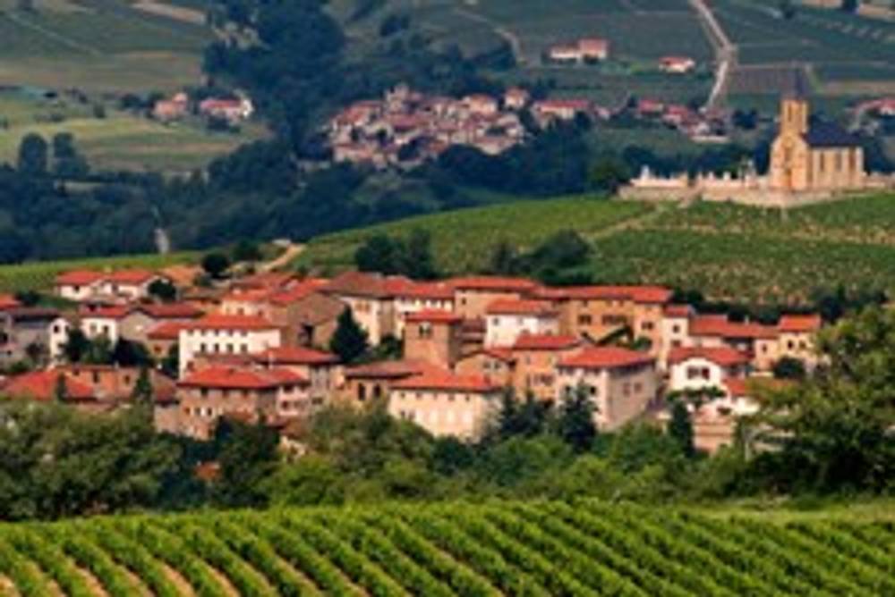 Weinregion Frankreich Weinregion Frankreich