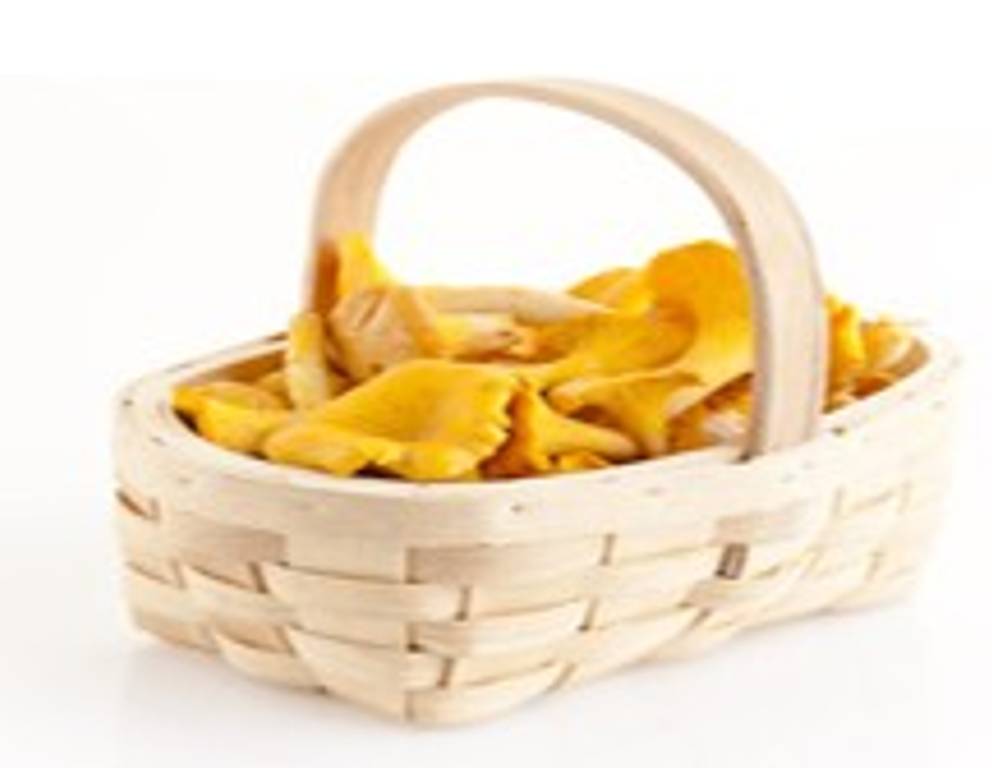 Das Eierschwammerl Das Eierschwammerl