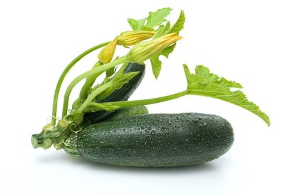 Zucchini Zucchini
