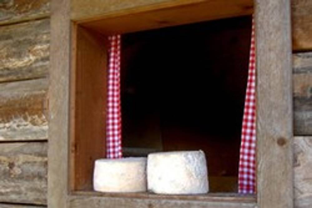 Kleinkäsereien in Österreich Kleinkäsereien in Österreich