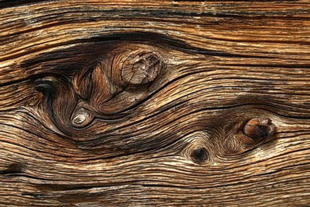 TCM - Element Holz TCM - Element Holz