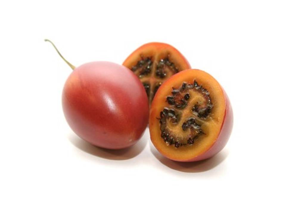 Tamarillo Tamarillo